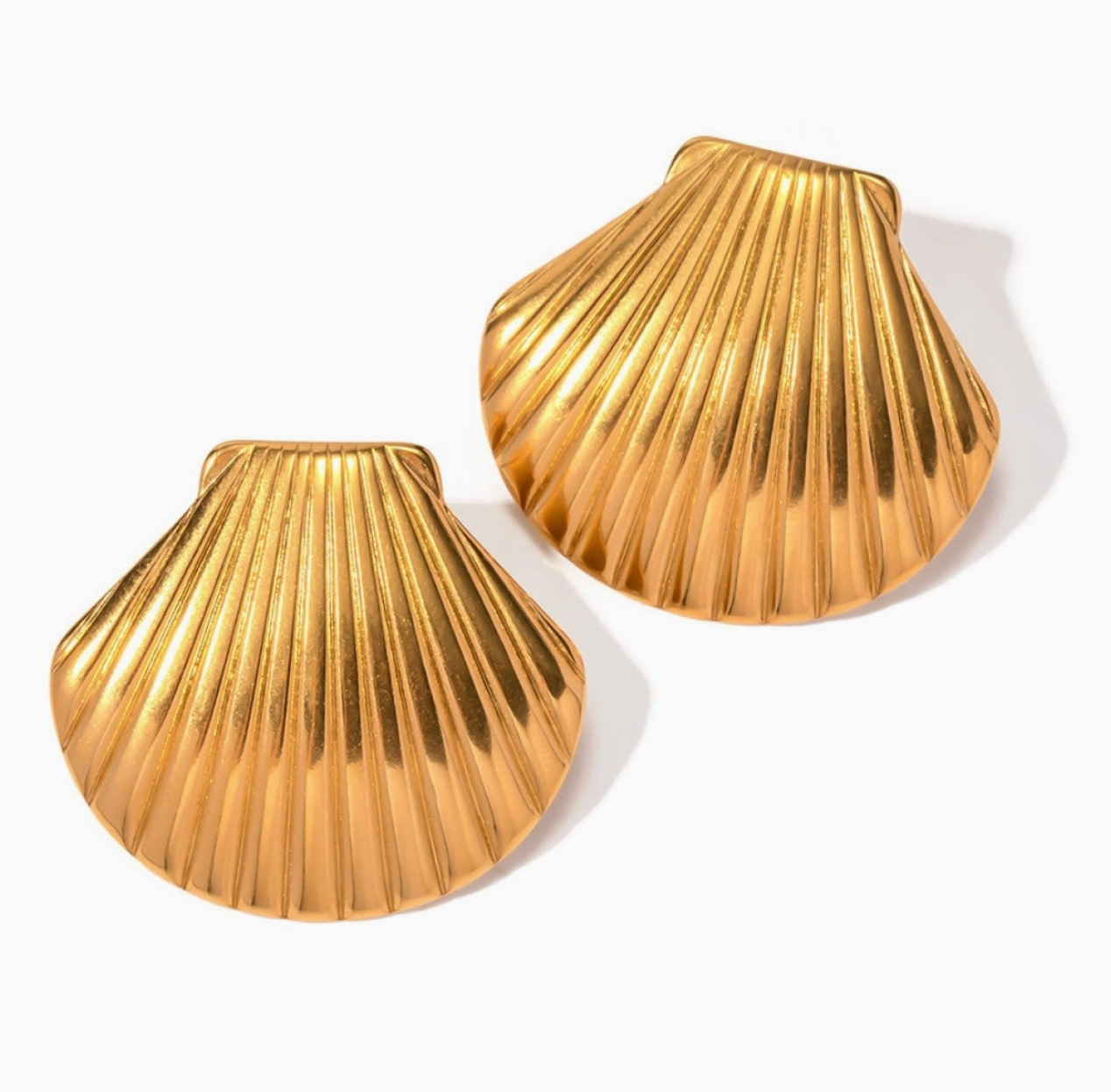 Seashell Earrings
