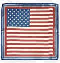 USA Flag Scarf